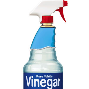 vinegar spray bottle