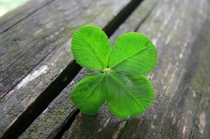 shamrock